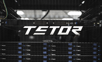 高可靠自维护存储系统TStor
